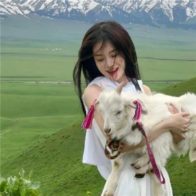 纽泽西爱未眠